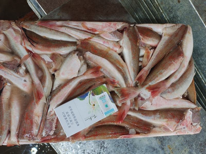 红娘鱼红头鱼两去烧烤鱼串原料火锅自助食材规格齐全