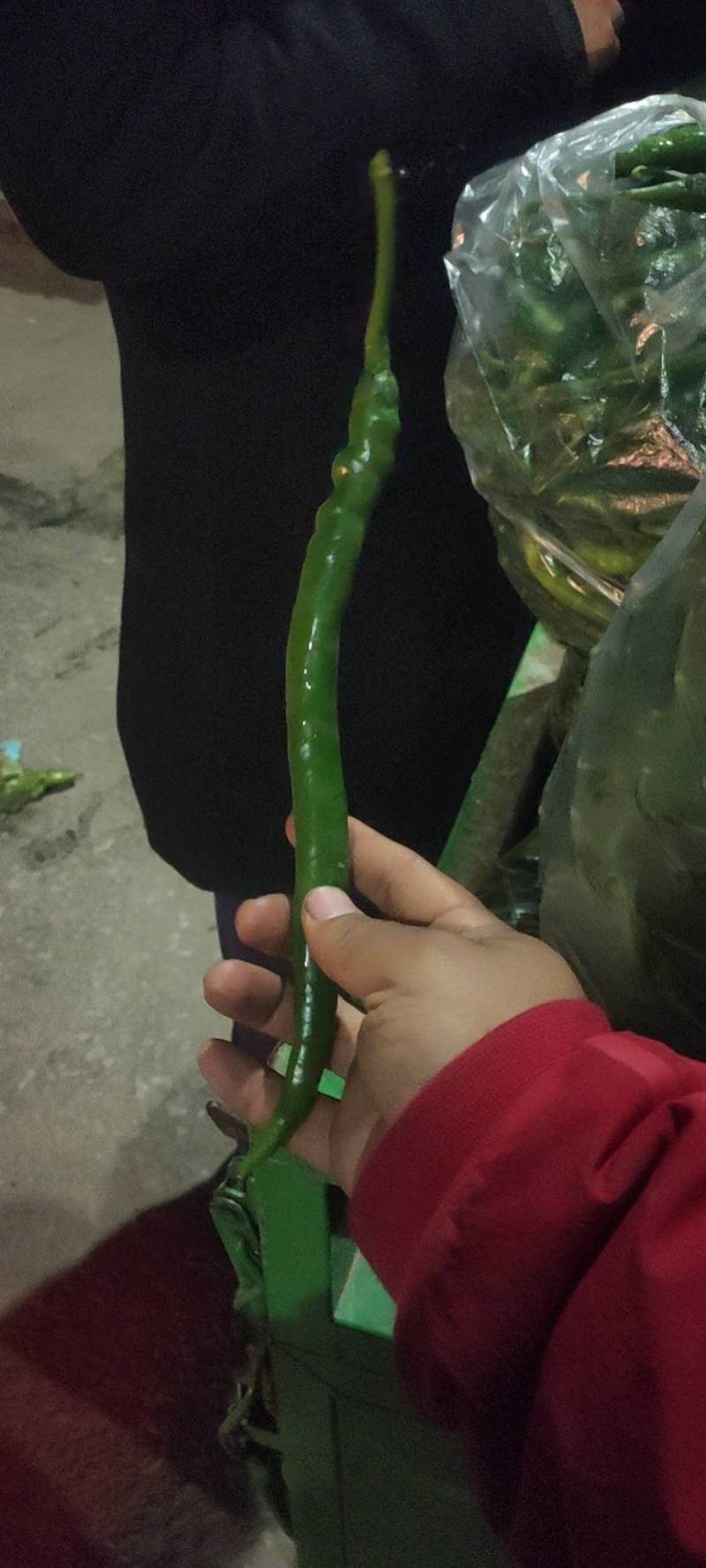 辣椒代办，小皱皮辣椒龚垒瓜果蔬菜交易行装箱，装框