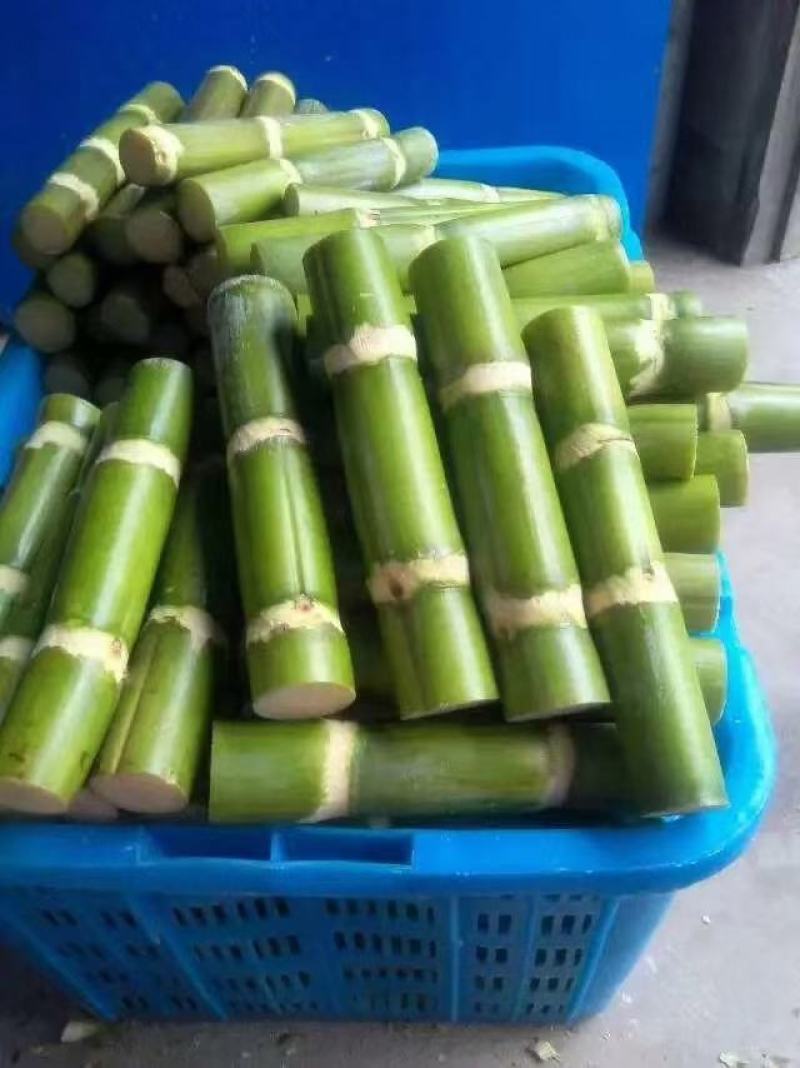陶山青皮白玉甘蔗，好吃到爆