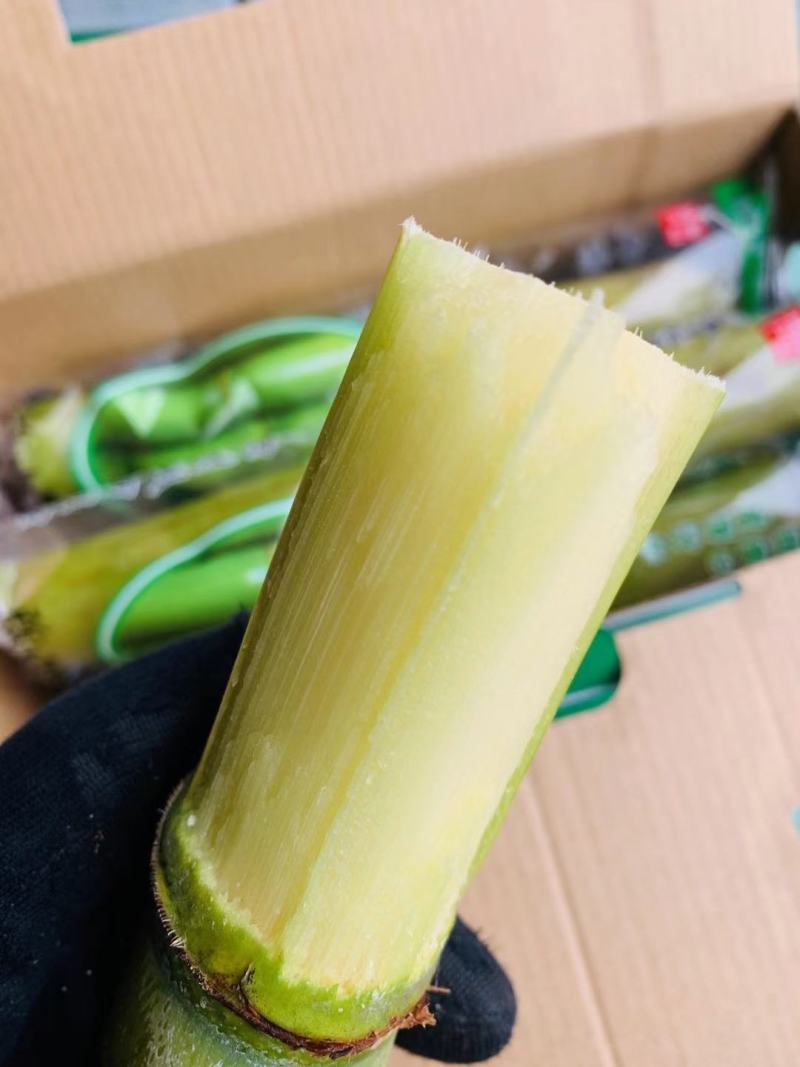 陶山青皮白玉甘蔗，好吃到爆