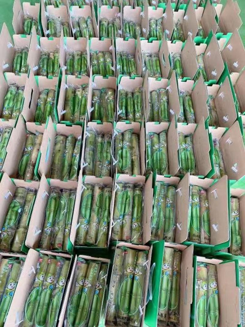 陶山青皮白玉甘蔗，好吃到爆