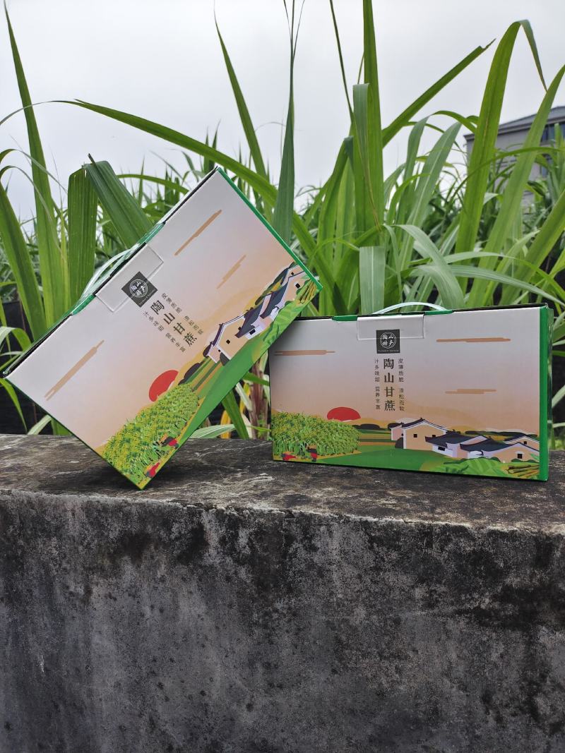 陶山青皮白玉甘蔗，好吃到爆