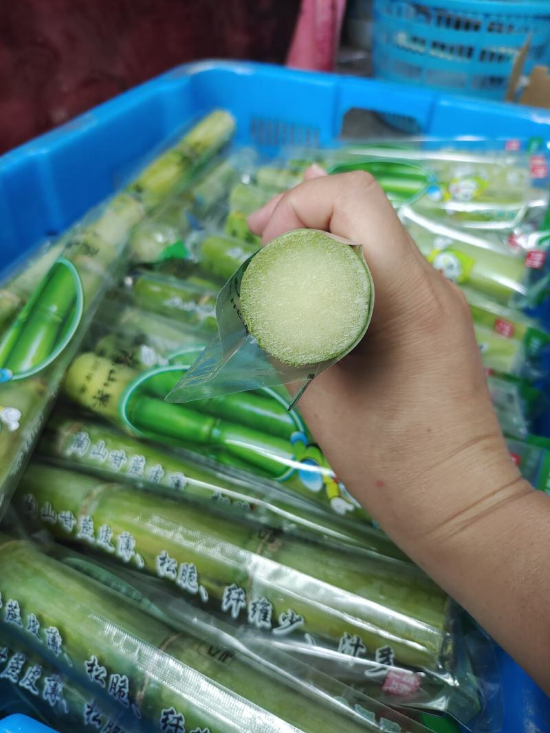陶山青皮白玉甘蔗，好吃到爆