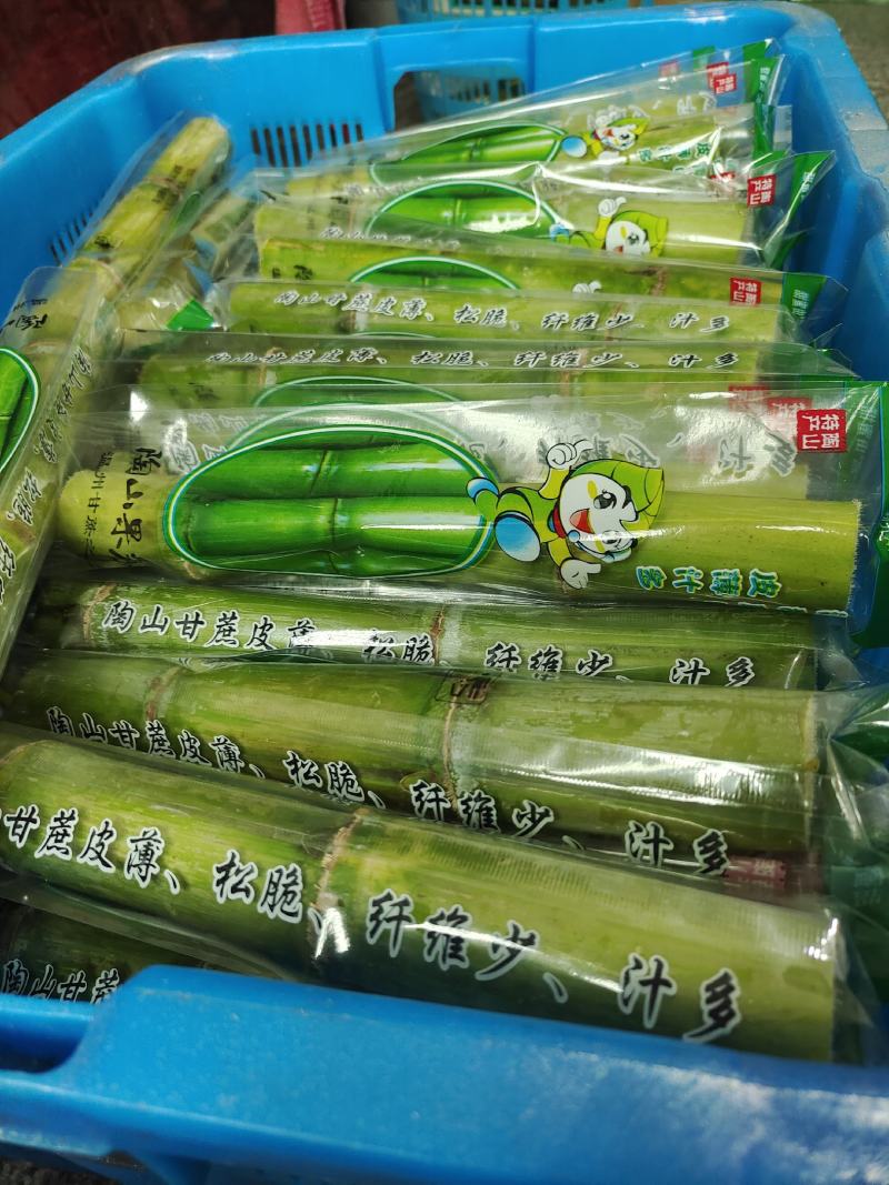 陶山青皮白玉甘蔗，好吃到爆