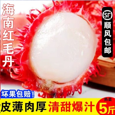 海南红毛丹水果毛荔枝5斤带箱新鲜甜应季热带现摘现发1斤包