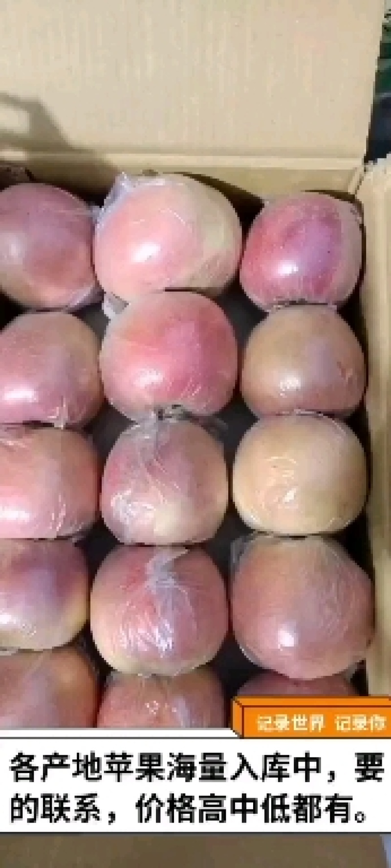 富士苹果