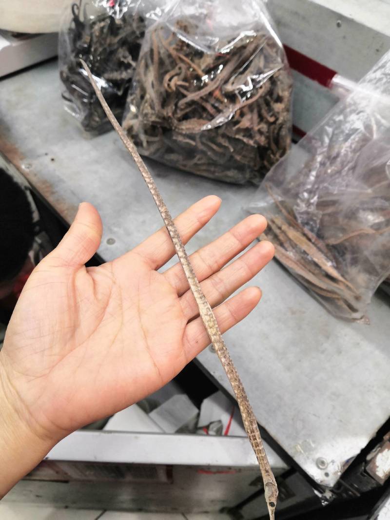 海龙干六角龙四角龙正宗海龙干泡酒滋补药材干货海龙6条包邮