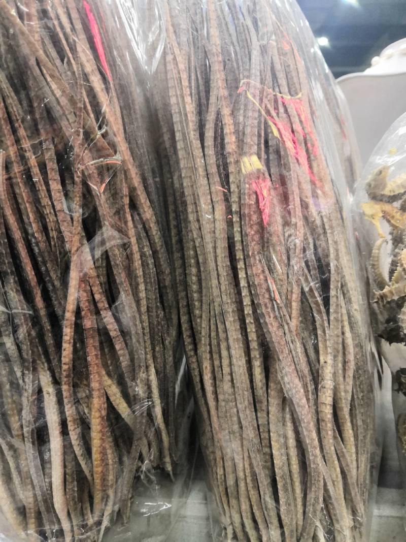 海龙干六角龙四角龙正宗海龙干泡酒滋补药材干货海龙6条包邮