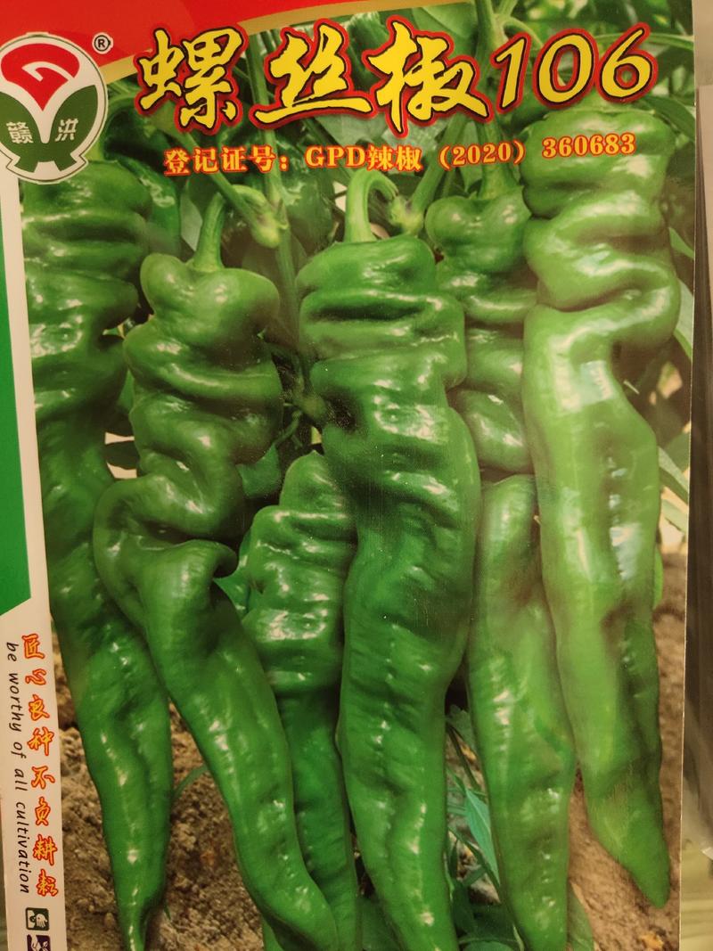 精品蔬菜种子，螺丝椒106早熟耐低温产量高果长23-28