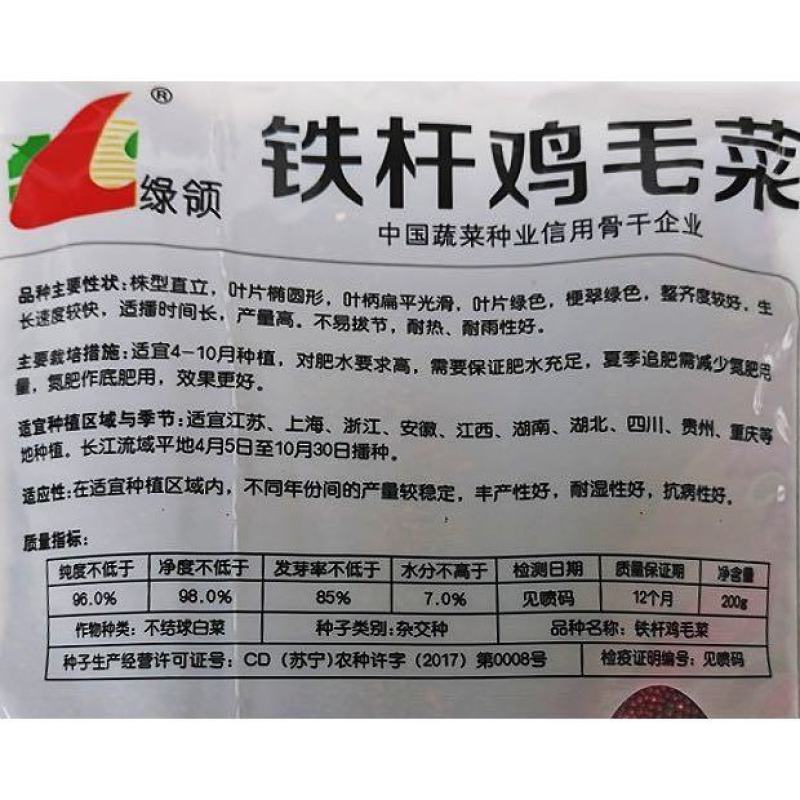 绿领铁杆鸡毛菜种子200克，梗翠绿色,整齐度较好生长速度