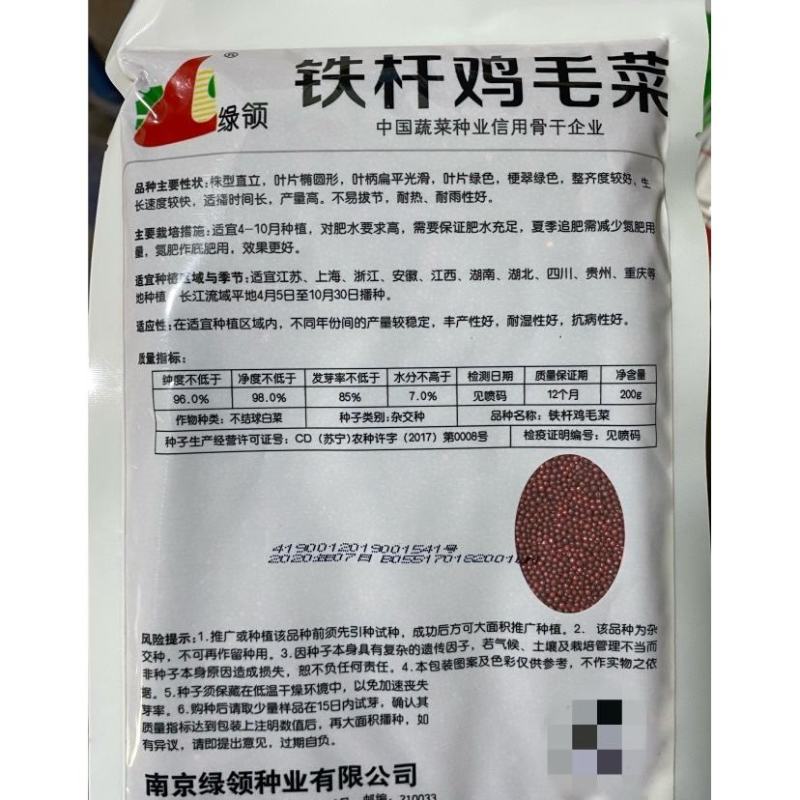 绿领铁杆鸡毛菜种子200克，梗翠绿色,整齐度较好生长速度