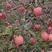 苹果大凉山红富士苹果量大从优基地供应