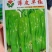 薄皮早椒辣椒种子