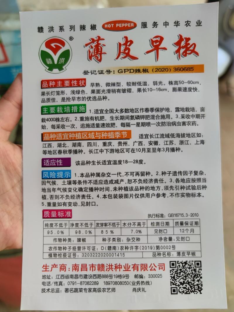 薄皮早椒辣椒种子