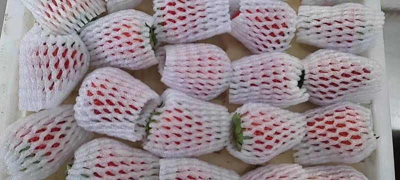 丹东草莓东港久久草莓鲜甜塑封装礼盒装包邮网红电商一件发货