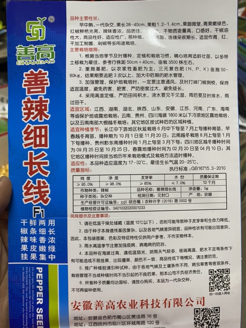 早中熟干鲜两用线椒种籽40㎝粗1.4㎝辣味香浓抗病