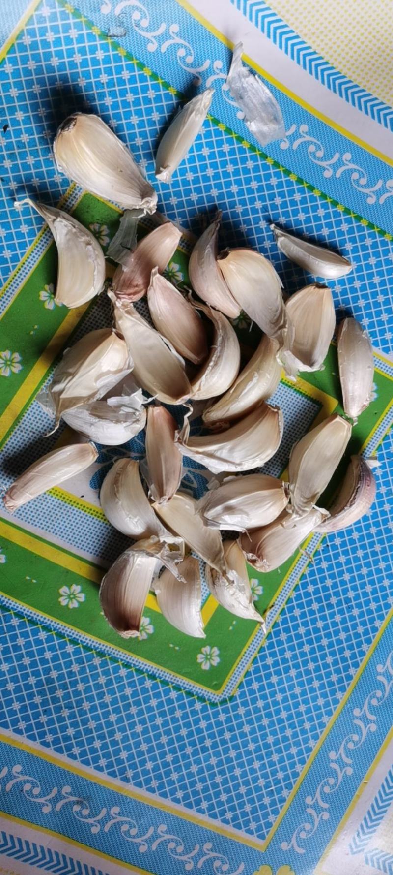 农安县白皮大蒜