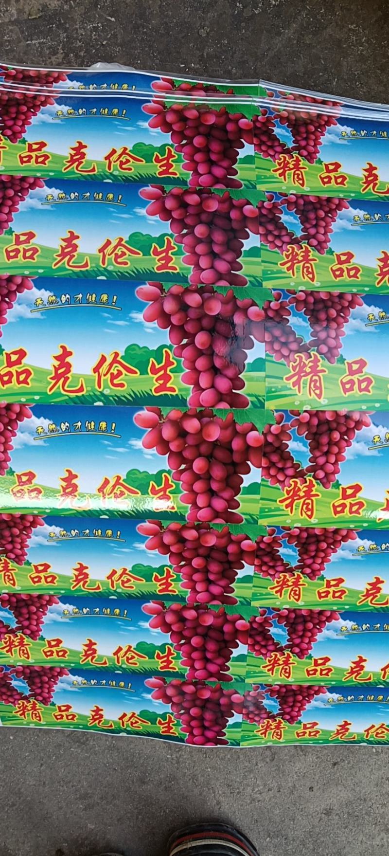 精品克伦生