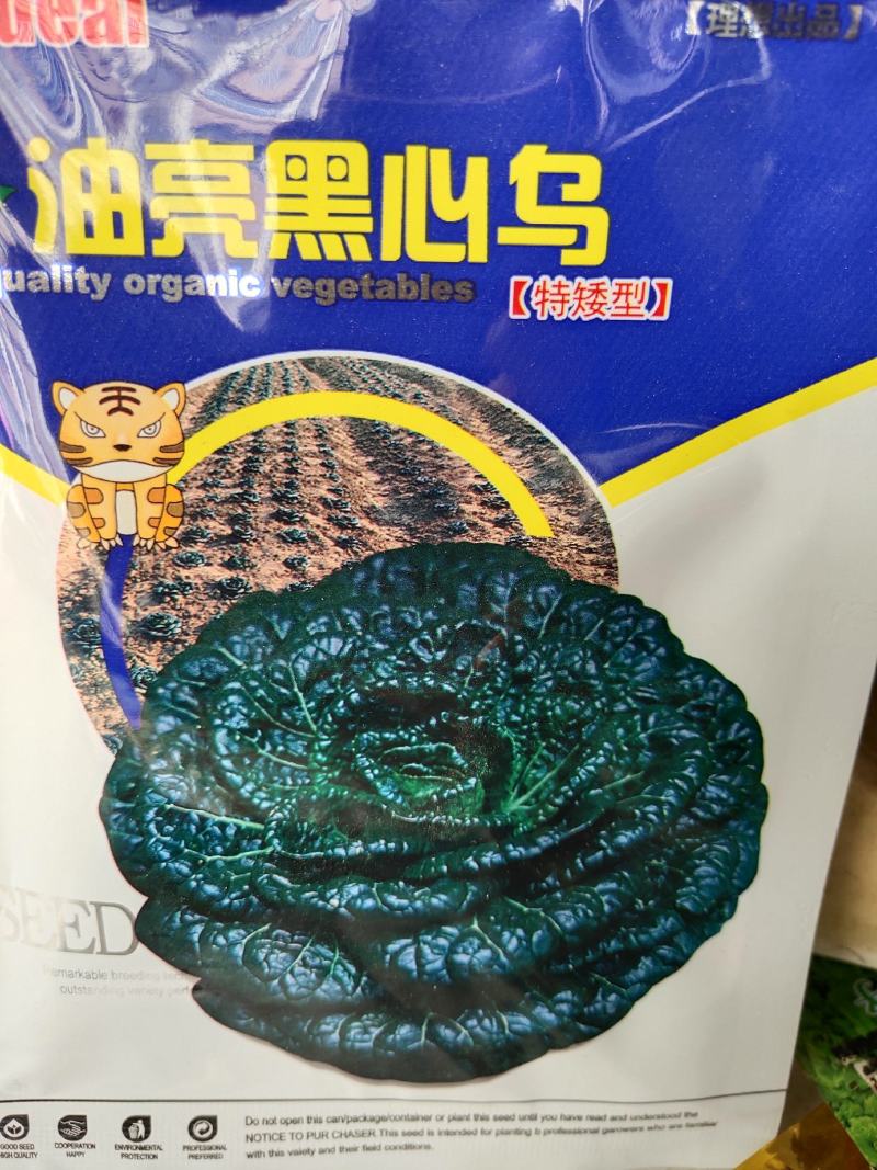 油亮黑心乌。特矮型，，