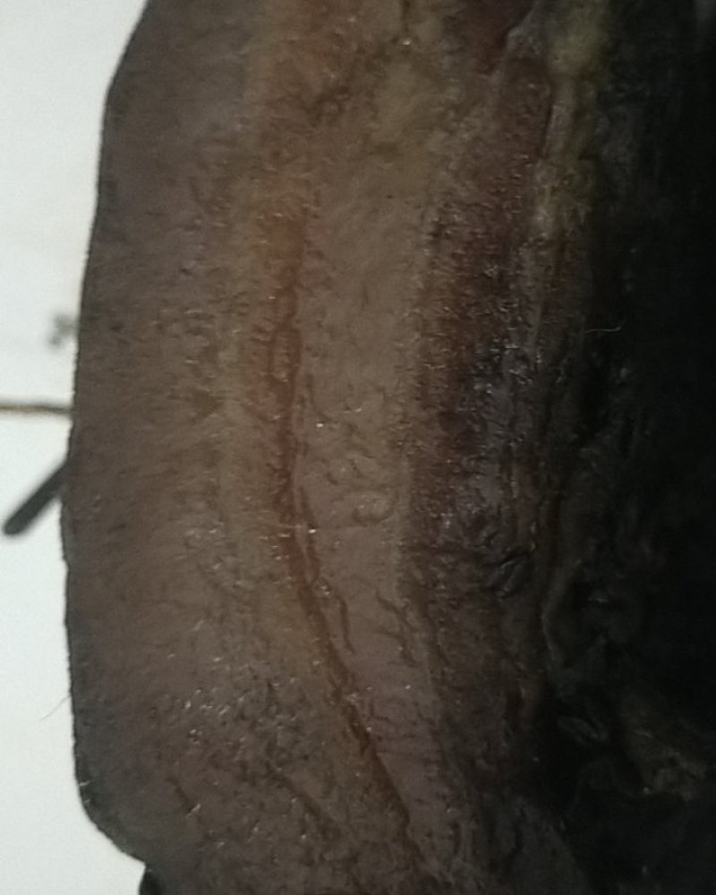 云南两年多的老火腿腊肉