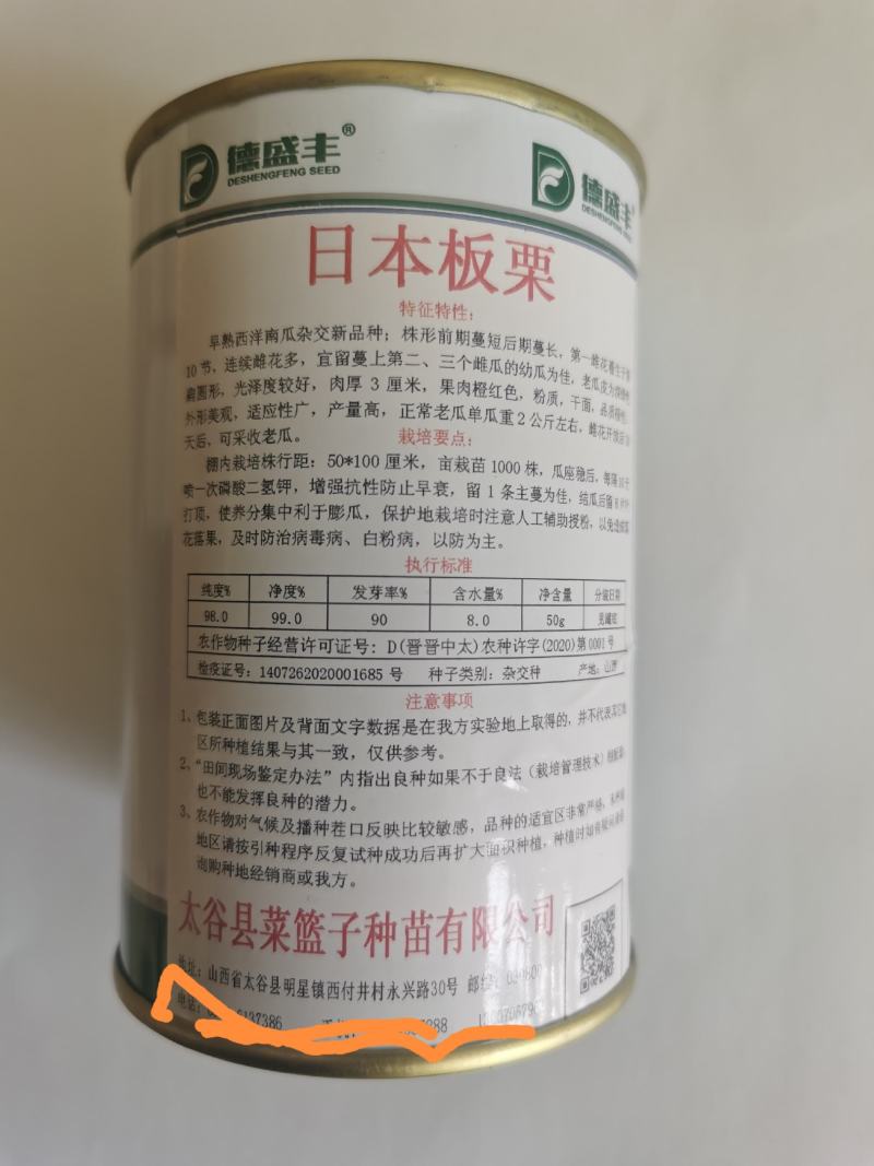 日本板栗南瓜种子黑板栗籽口感好甘面迷你型高产