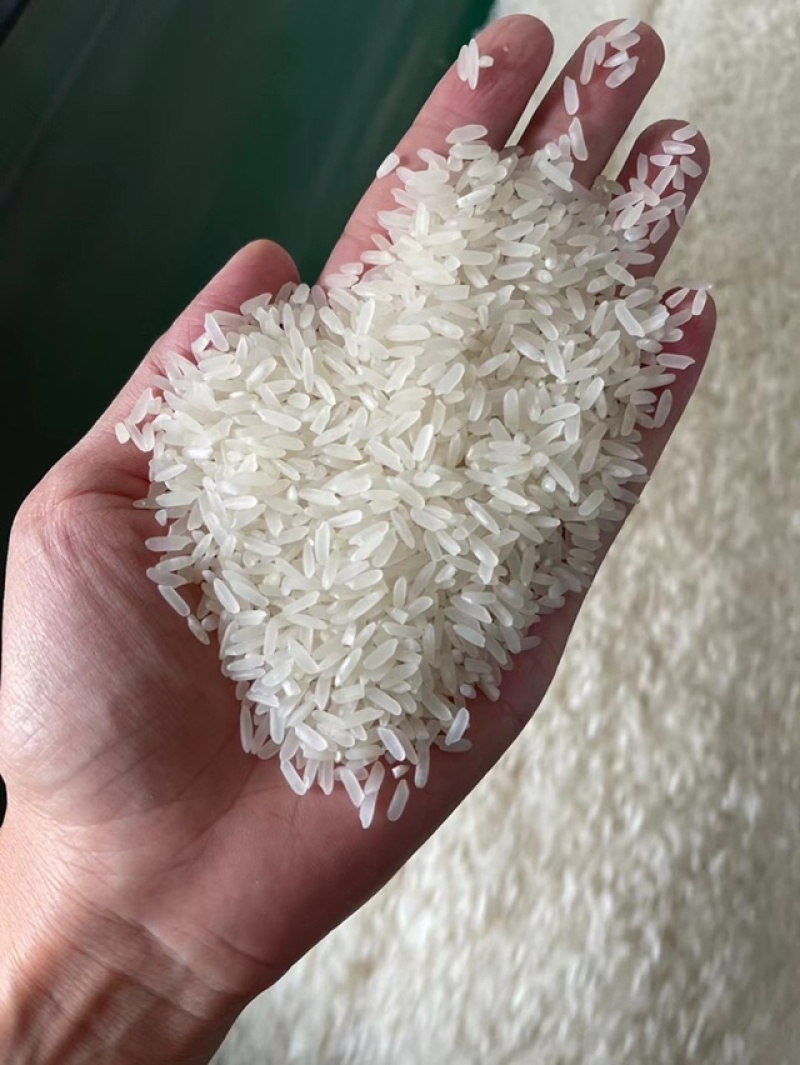 大米