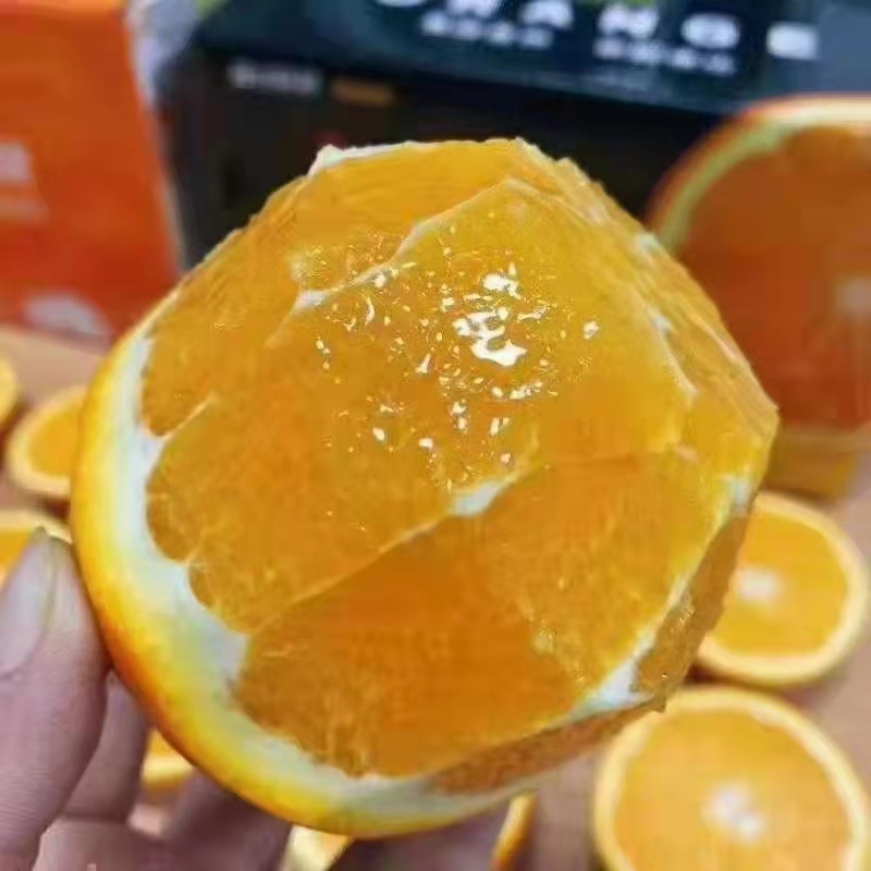 【橙子】湖南麻阳冰糖橙大量上市提供专业代办电商代发