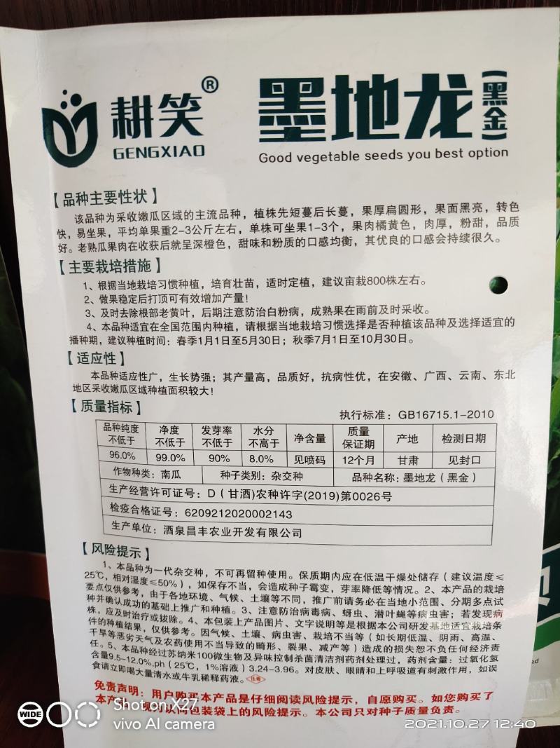 黑金板栗南瓜种子云南黑皮板栗高产优质，种子批发供应