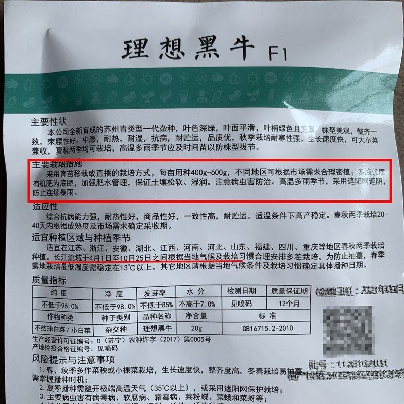 理想黑牛杂交苏州青青菜种子