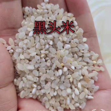 黑头米