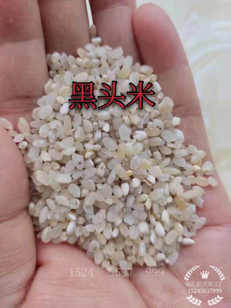 黑头米