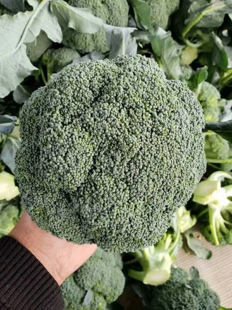 西兰花