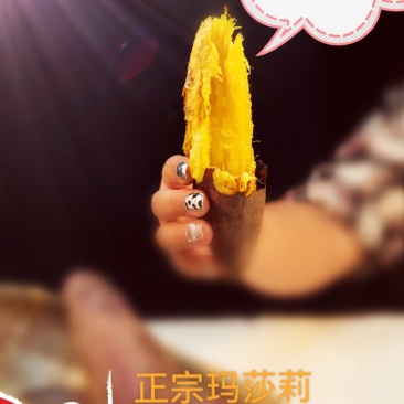 糖心蜜薯辽宁特产黄金薯地瓜
