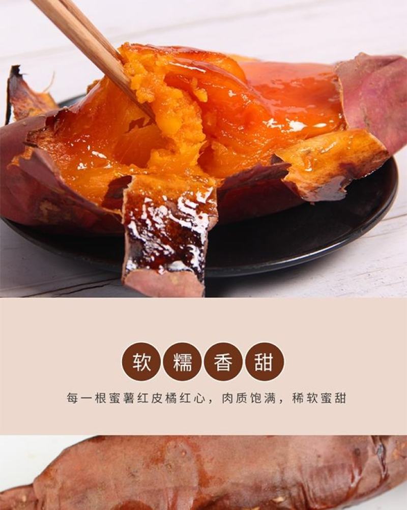 蜜薯流糖蜜薯农产品优选产地直供