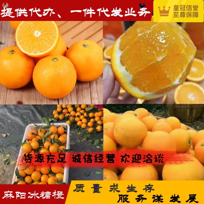 【橙子】湖南麻阳冰糖橙大量上市提供专业代办电商代发