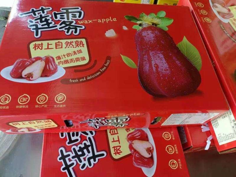 批发【莲雾】国产品质海南农货一手货源直销批发价实惠