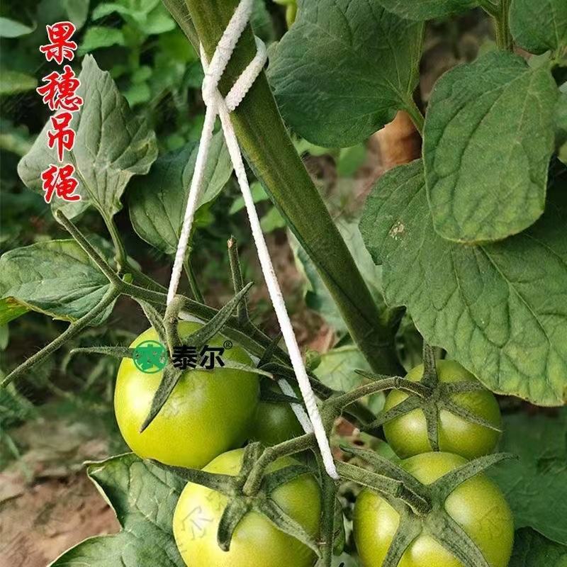 袜套果穗吊绳