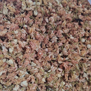 茉莉花1斤起批发量大从优
