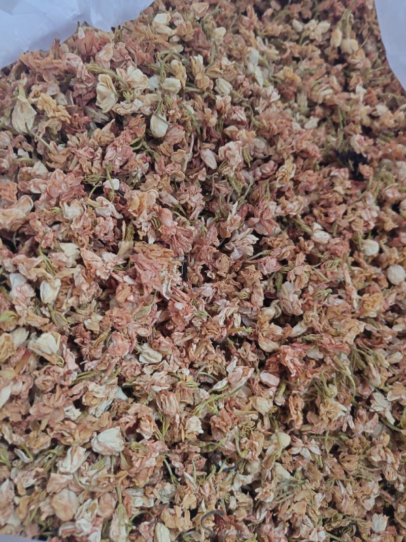 茉莉花1斤起批发量大从优