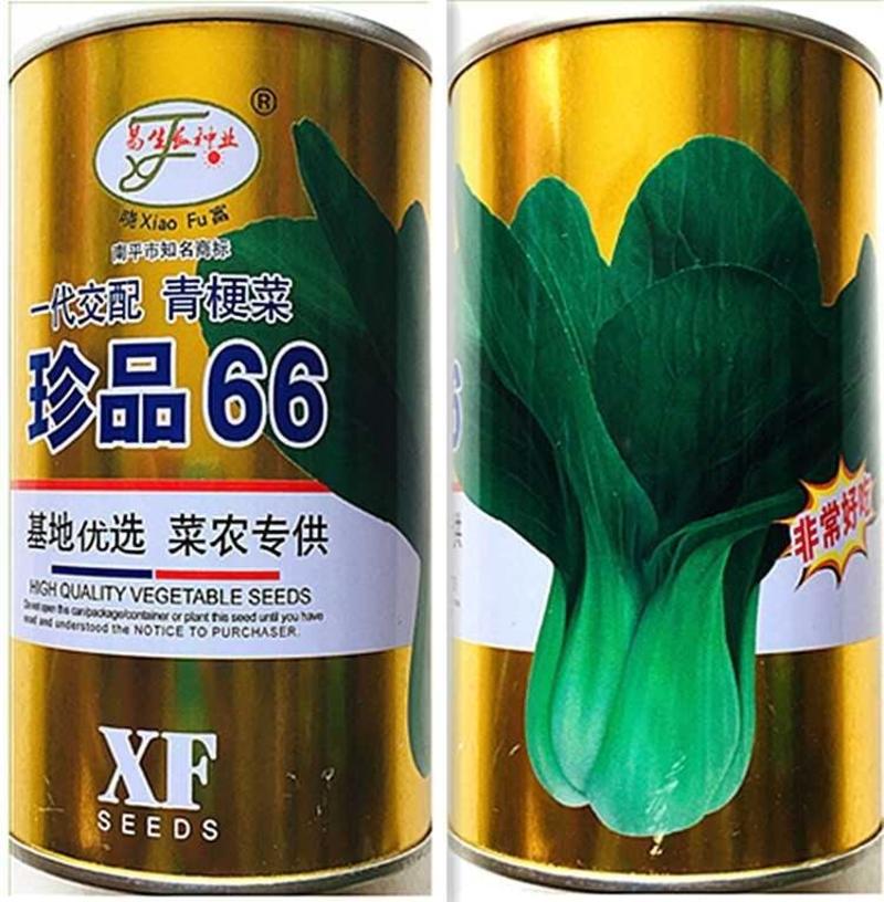 晓富真品66青梗菜种子，青梗小白菜种子100克