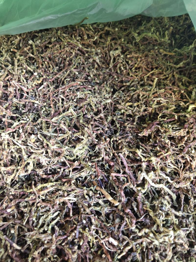 山密草一斤起批发量大从优