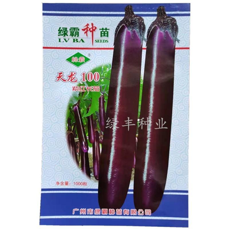 天龙100紫红长茄茄子种子