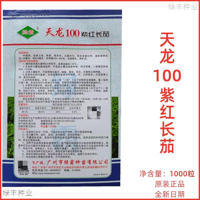 天龙100紫红长茄茄子种子