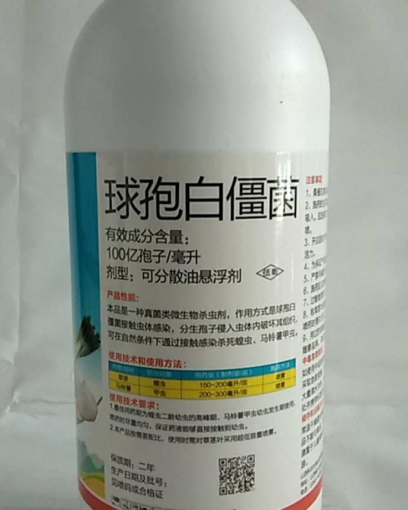 球饱白僵菌对斜纹夜娥钻心虫特别是对黑头蛆蛴螬地老效果突出