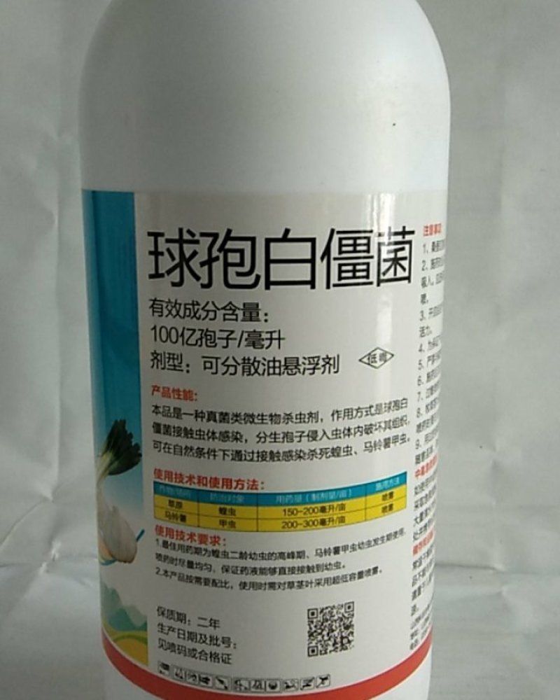 球饱白僵菌对斜纹夜娥钻心虫特别是对黑头蛆蛴螬地老效果突出