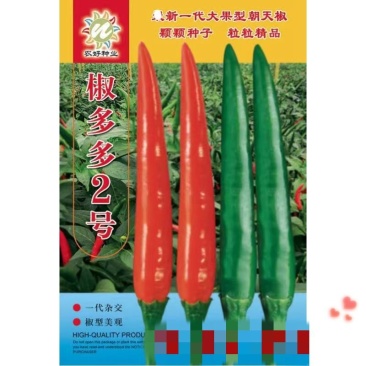 椒多多2号朝天椒种子，椒多多2号二号早熟大果