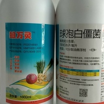 球饱白僵菌对斜纹夜娥钻心虫特别是对黑头蛆蛴螬地老效果突出
