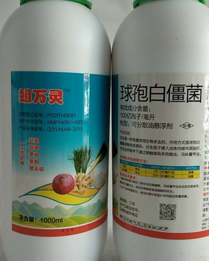 球饱白僵菌对斜纹夜娥钻心虫特别是对黑头蛆蛴螬地老效果突出