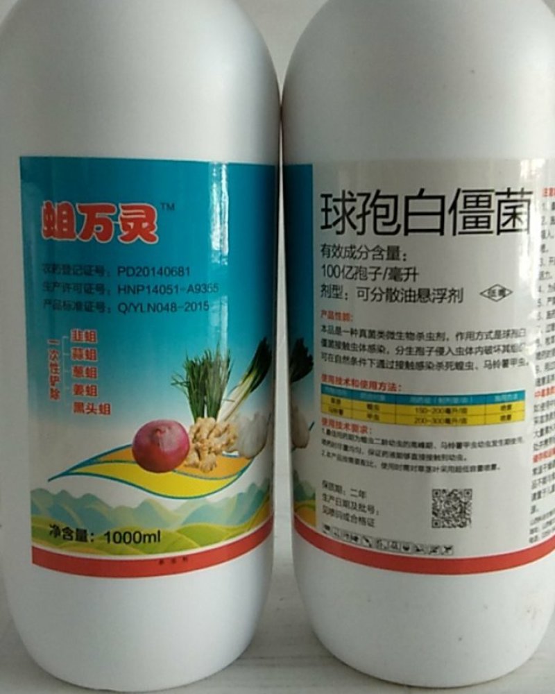 球饱白僵菌对斜纹夜娥钻心虫特别是对黑头蛆蛴螬地老效果突出