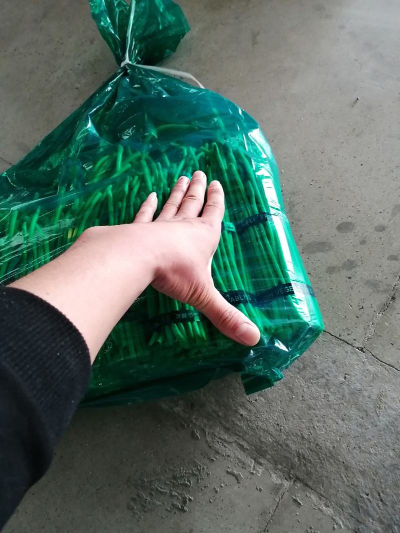 邳州蒜苔